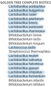 Lactobacillen