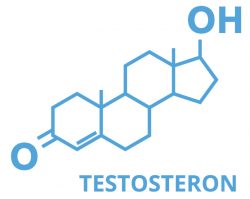 Synthese van testosteron